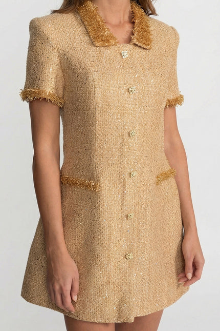 Mariott - Elegant Short Sleeve Tweed Mini Dress Accented with Metallic Fringe