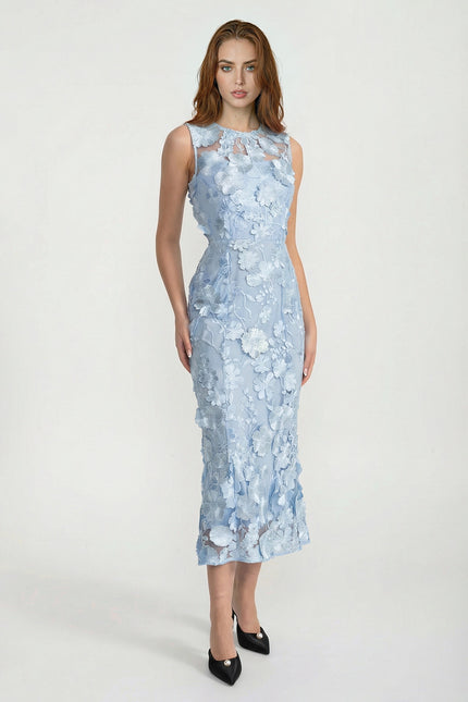 Mirabelle - Sheer Dress with Fitted Waist and Floral Appliqués